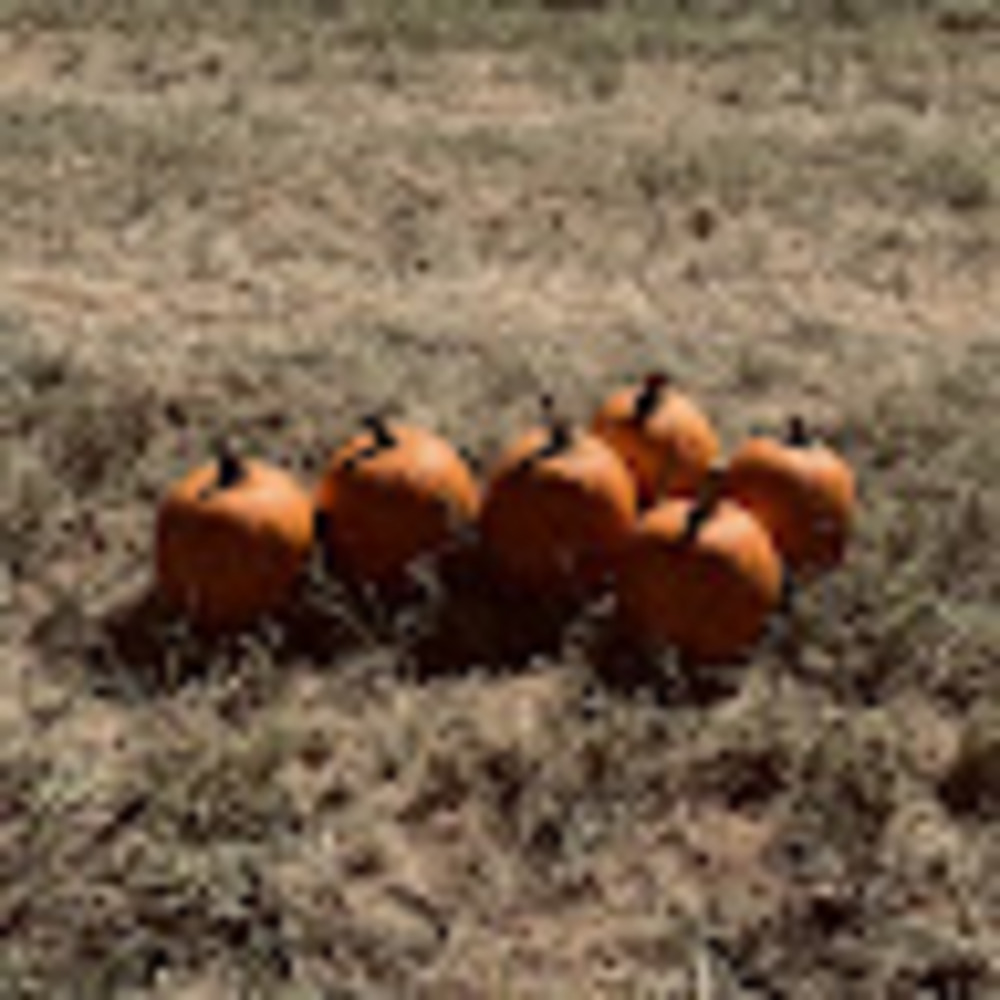 Meet your Posher, Mackenzie